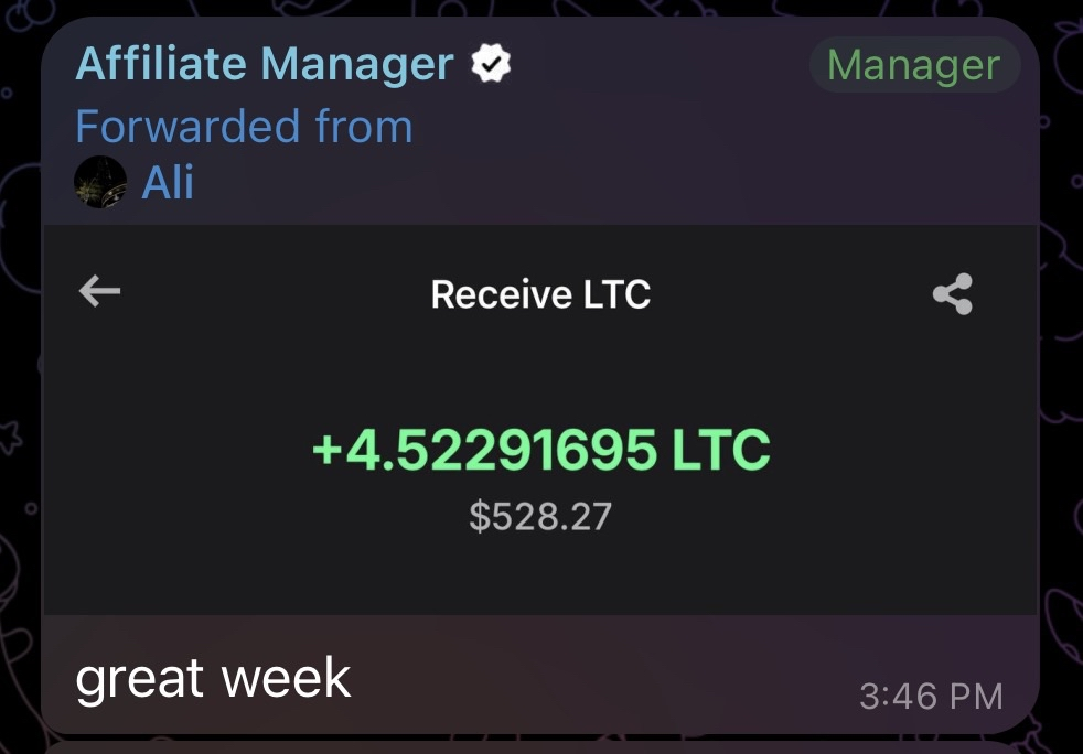 $528 LTC balance — live earnings